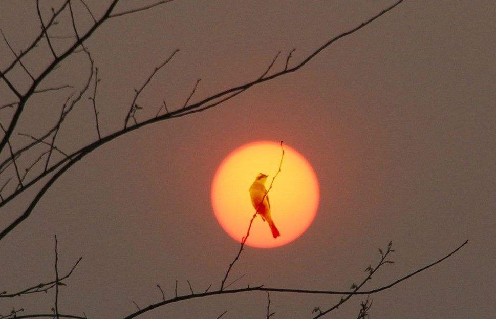 当前农村现状和存在的问题,农村现在形势如何