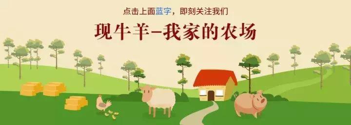 除去羊肉膻味的方法,去除羊肉膻味最好办法