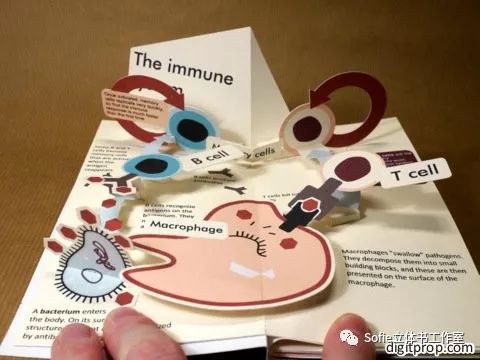 大开眼界提高认知的书籍,立体书购买推荐