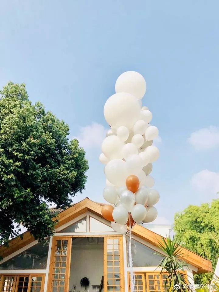 卖书卖水果是不是就不能卖蔬菜了,卖书卖花卖奶茶