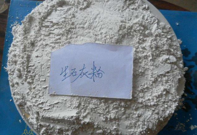 养鸡巧用生石灰解决鸡场大问题,生石灰鸡场消毒的技术要点