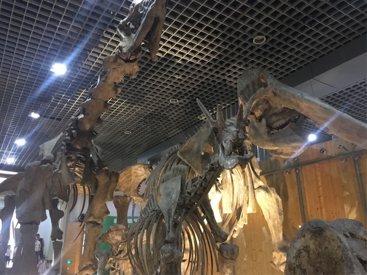 小屁孩的南京之旅,记录小屁孩的旅途