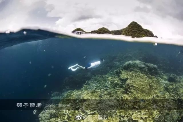 2017年工作总结视频,年终总结收获与展望