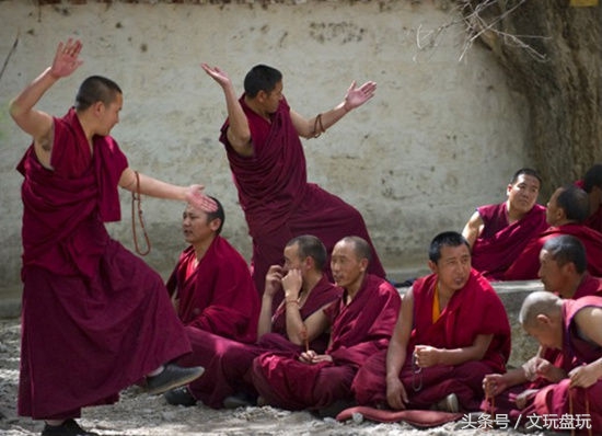 买精品凤眼需要关注哪些,买凤眼要关注什么