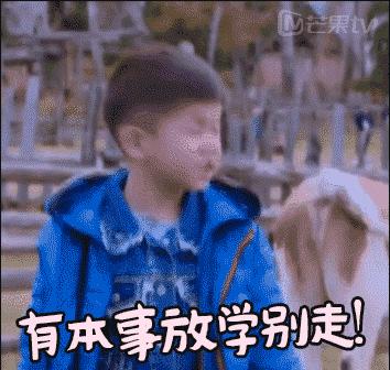 权健内外援最新信息,权健转会恒大