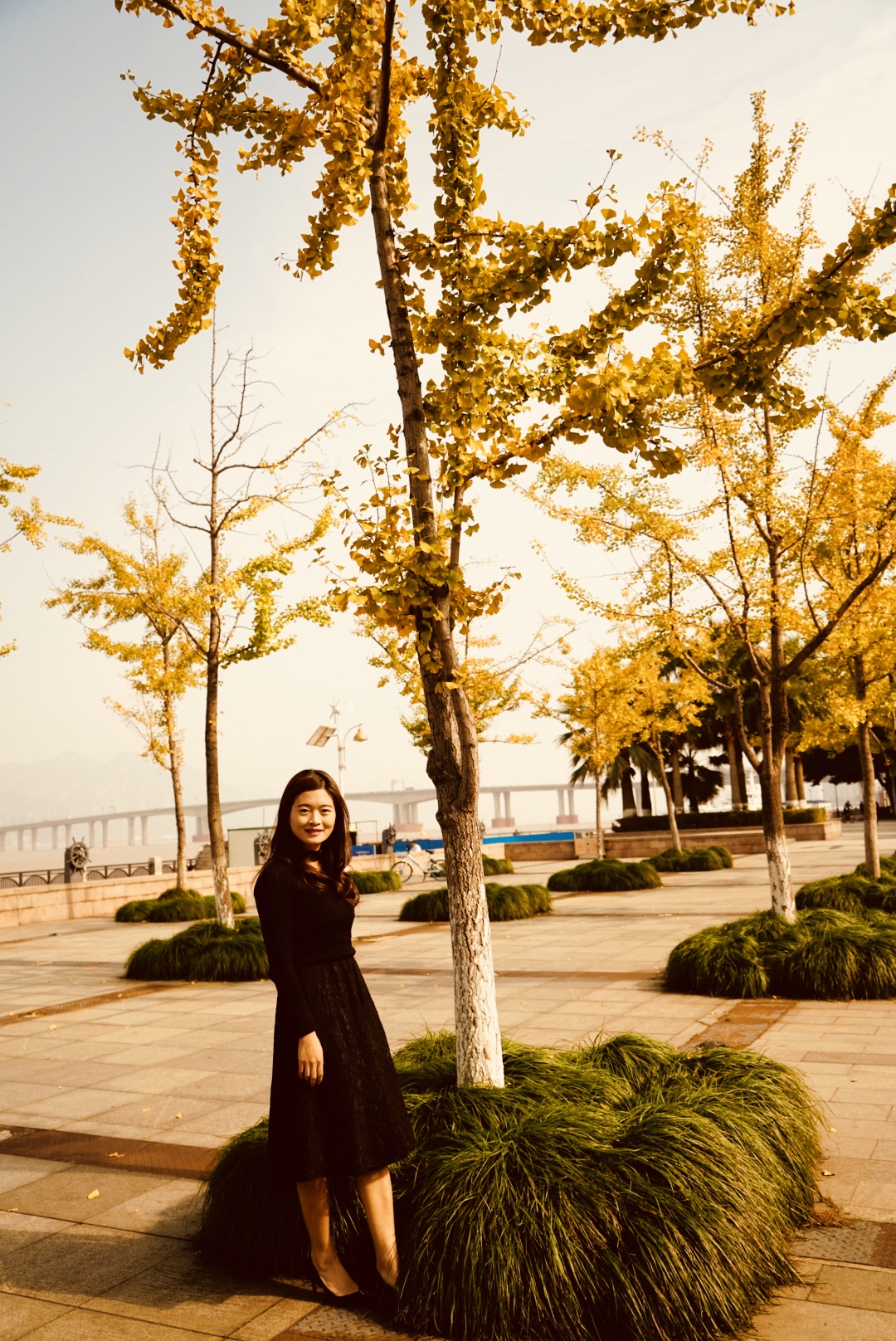 温州市中心附近高档酒店,温州乐清十大酒店排行