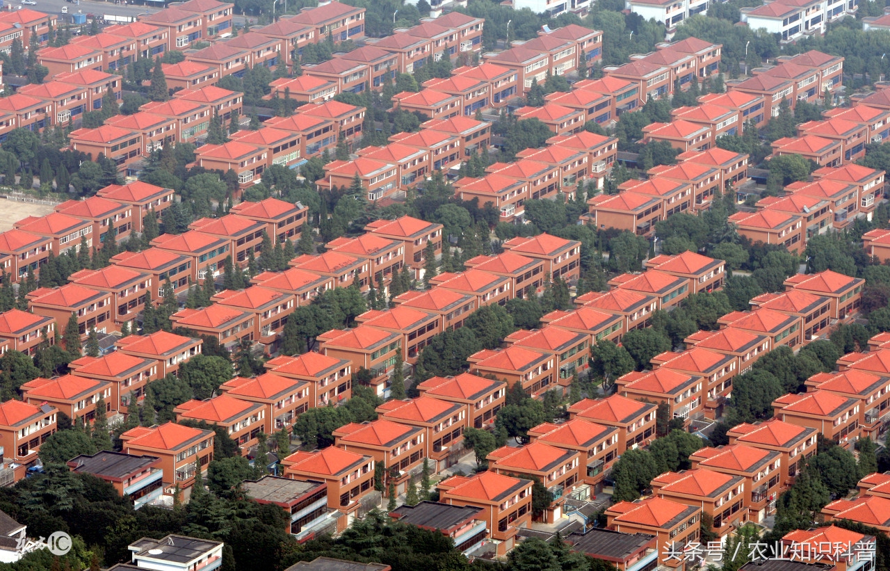 全国100强村排名,浙江省100强村排名