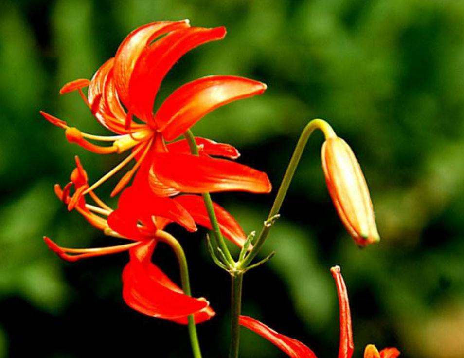 面对看不起自己的人怎么做,面对看不得别人好的人怎么办