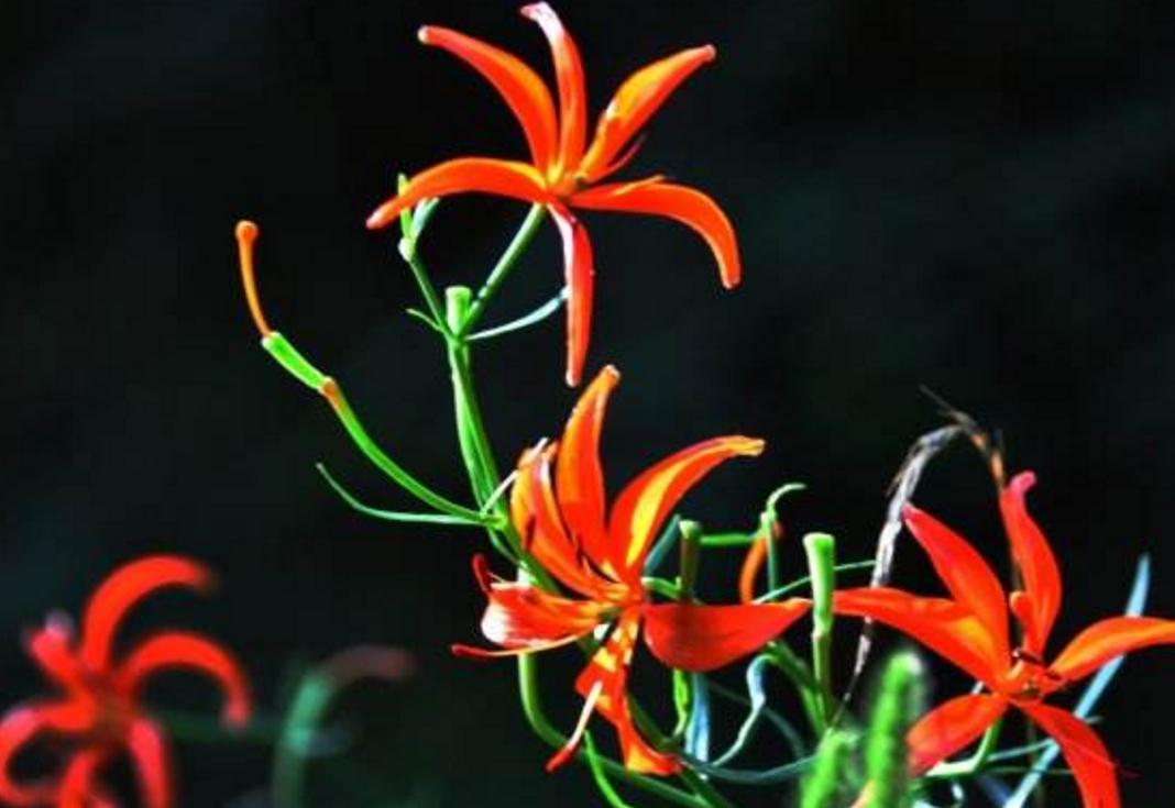 面对看不起自己的人怎么做,面对看不得别人好的人怎么办