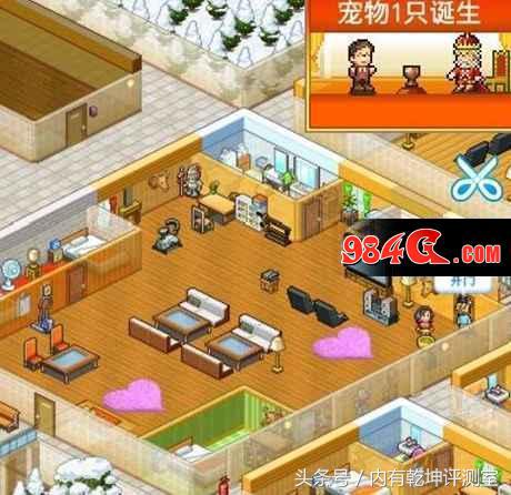 开罗游戏梦物语,开罗游戏住宅梦物语专门房间