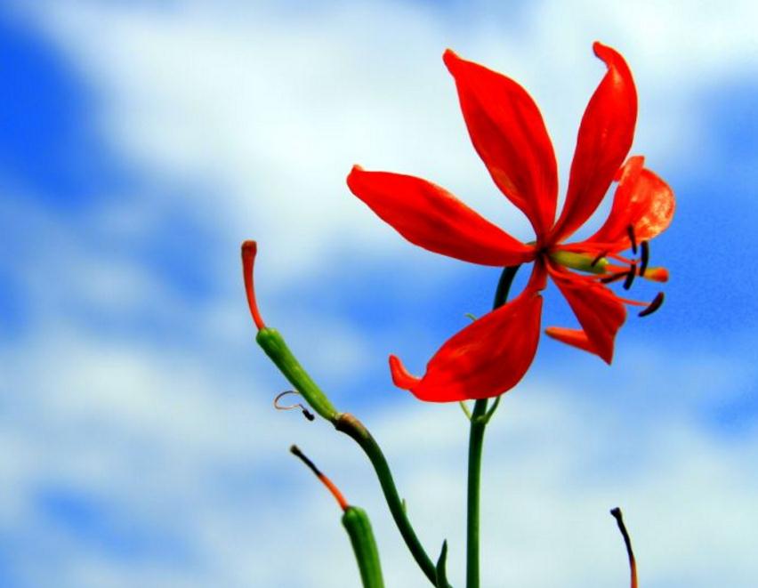 面对看不起自己的人怎么做,面对看不得别人好的人怎么办