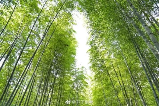 2017年工作总结视频,年终总结收获与展望