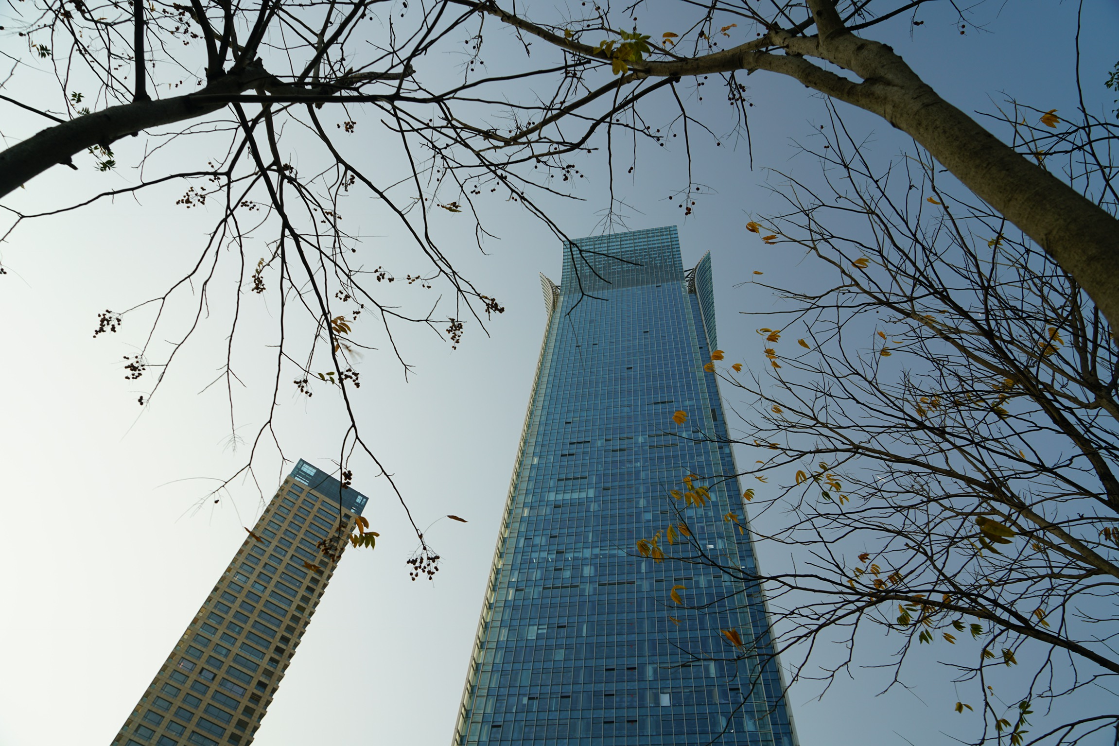 温州市中心附近高档酒店,温州乐清十大酒店排行