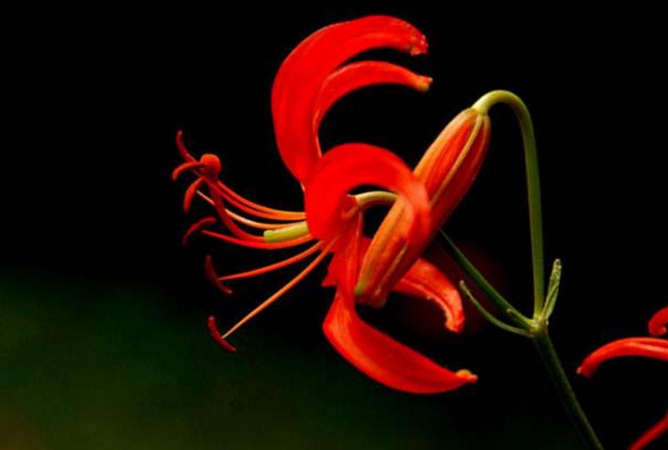 面对看不起自己的人怎么做,面对看不得别人好的人怎么办