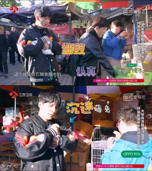 出门在外想父母了,出门在外想爸爸妈妈怎么办