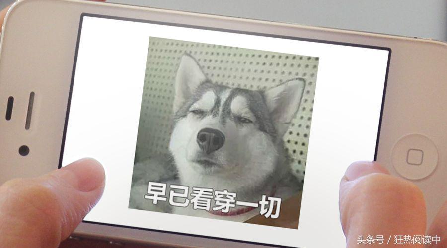 黄牛抢票事件,黄牛抢高铁票内幕揭秘