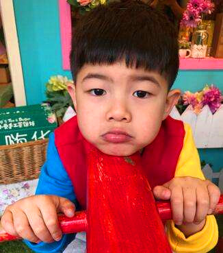 家有两儿的烦恼,家有二孩的家庭现状