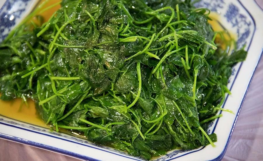 朱家尖吃喝玩乐攻略,去朱家角点什么好吃