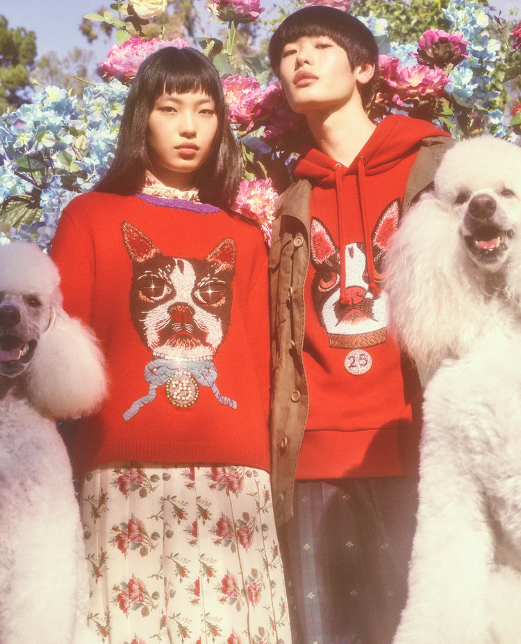 古驰小狗短袖,古驰小狗