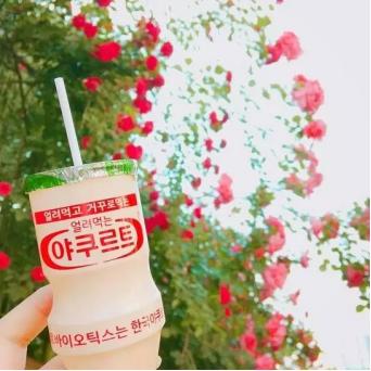 私藏已久的养乐多零食清单，终于还是曝光了