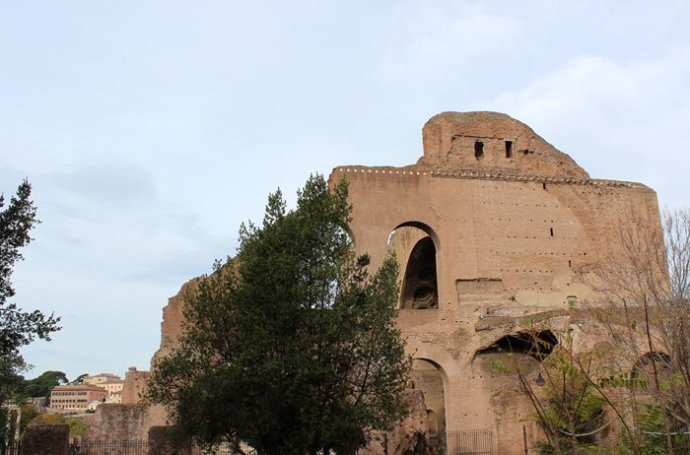 我眼中的俄罗斯文化,我眼中的华夏文化