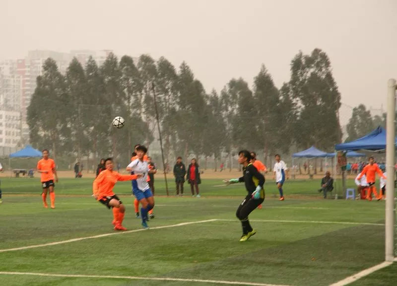 全国女子u14足球锦标赛在哪直播,2019全国女子u18篮球比赛