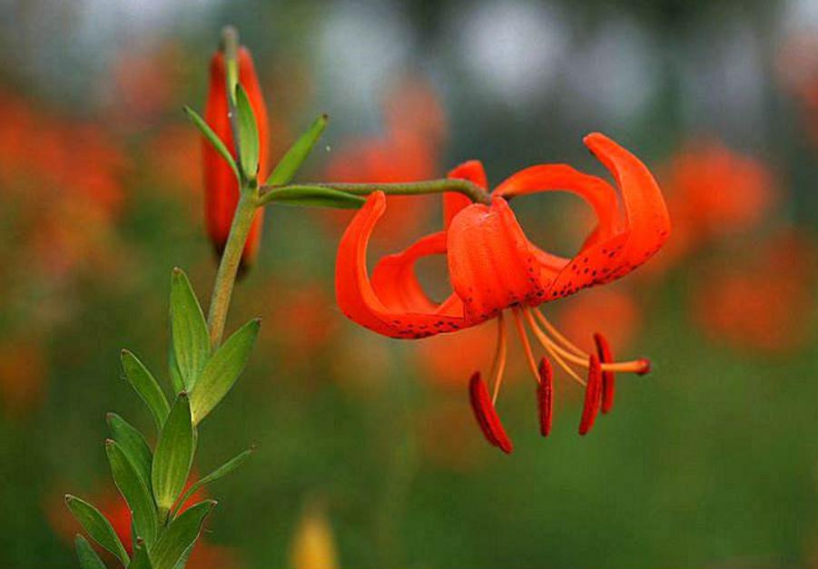 面对看不起自己的人怎么做,面对看不得别人好的人怎么办