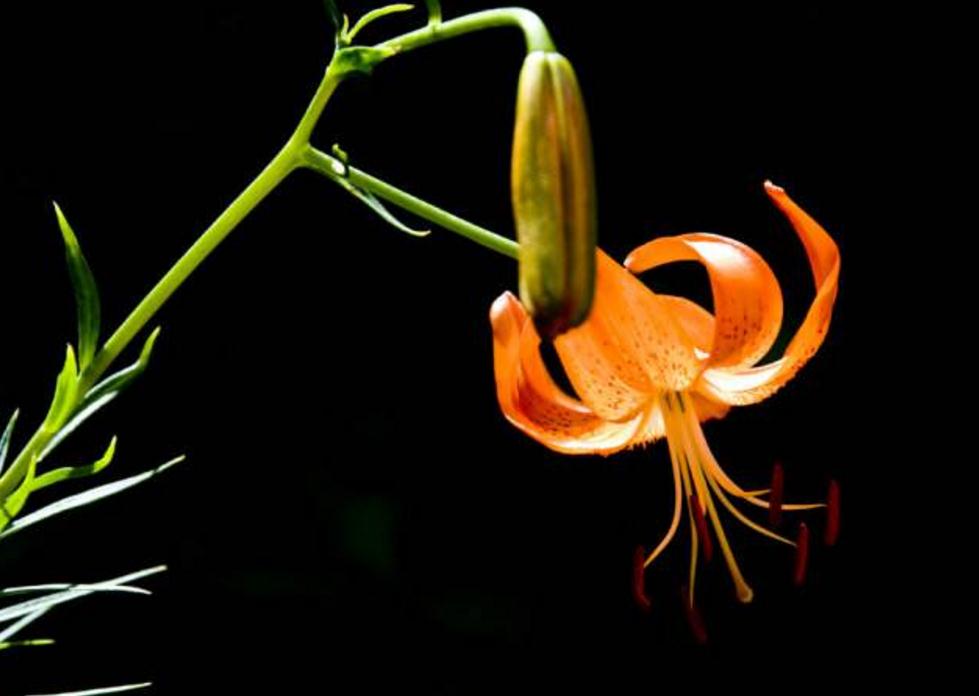 面对看不起自己的人怎么做,面对看不得别人好的人怎么办