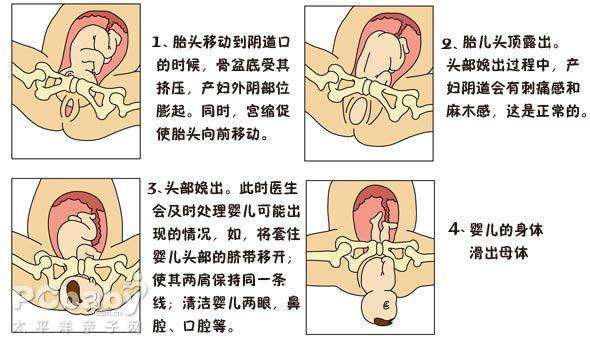 怀孕篇丨孕晚期做好生产准备，掌握分娩知识，安心等待宝宝降生