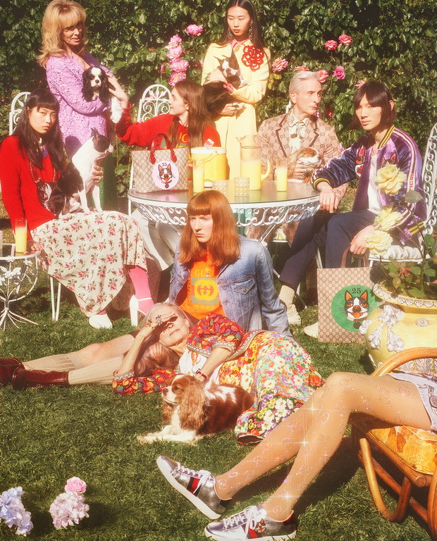 古驰小狗短袖,古驰小狗