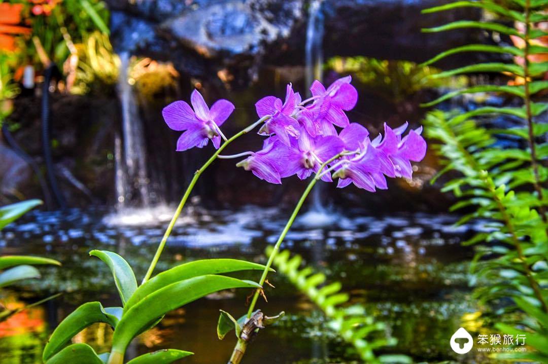我错过的这座花园岛屿，却是美国人的最爱，连扎克伯格也飞来买地