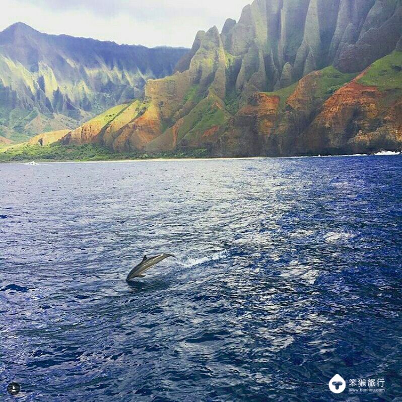 我错过的这座花园岛屿，却是美国人的最爱，连扎克伯格也飞来买地
