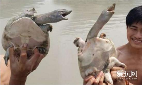 不管你承不承认，“纯粹”的电子竞技早在十年前就已被兴奋剂腐蚀