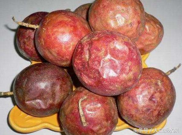 皱皮百香果可以泡水吗,黄色百香果越皱皮越好吃吗