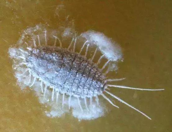 南通机场安检查到违禁品,南通机场违禁物品