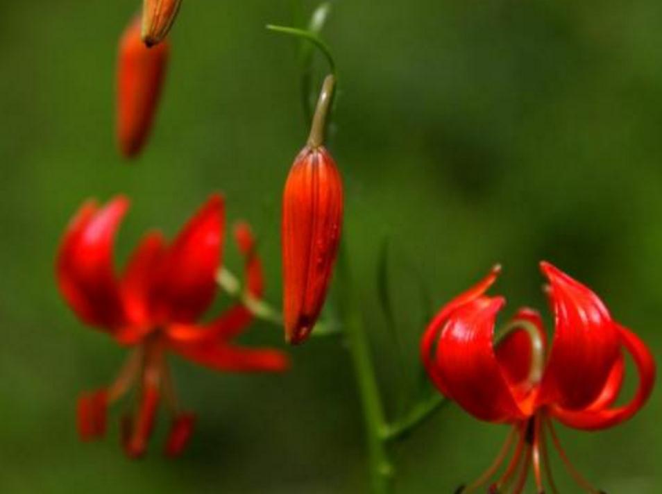 面对看不起自己的人怎么做,面对看不得别人好的人怎么办