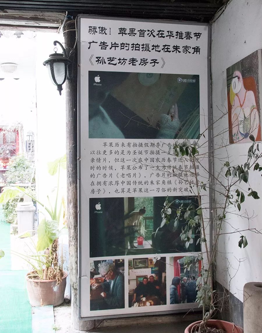 朱家尖吃喝玩乐攻略,去朱家角点什么好吃