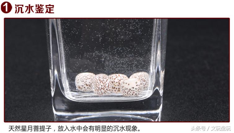 星月菩提真假对照表,各种星月真实图片