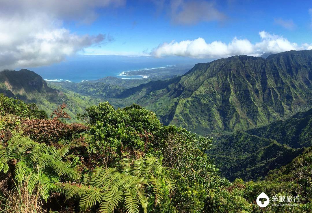 我错过的这座花园岛屿，却是美国人的最爱，连扎克伯格也飞来买地