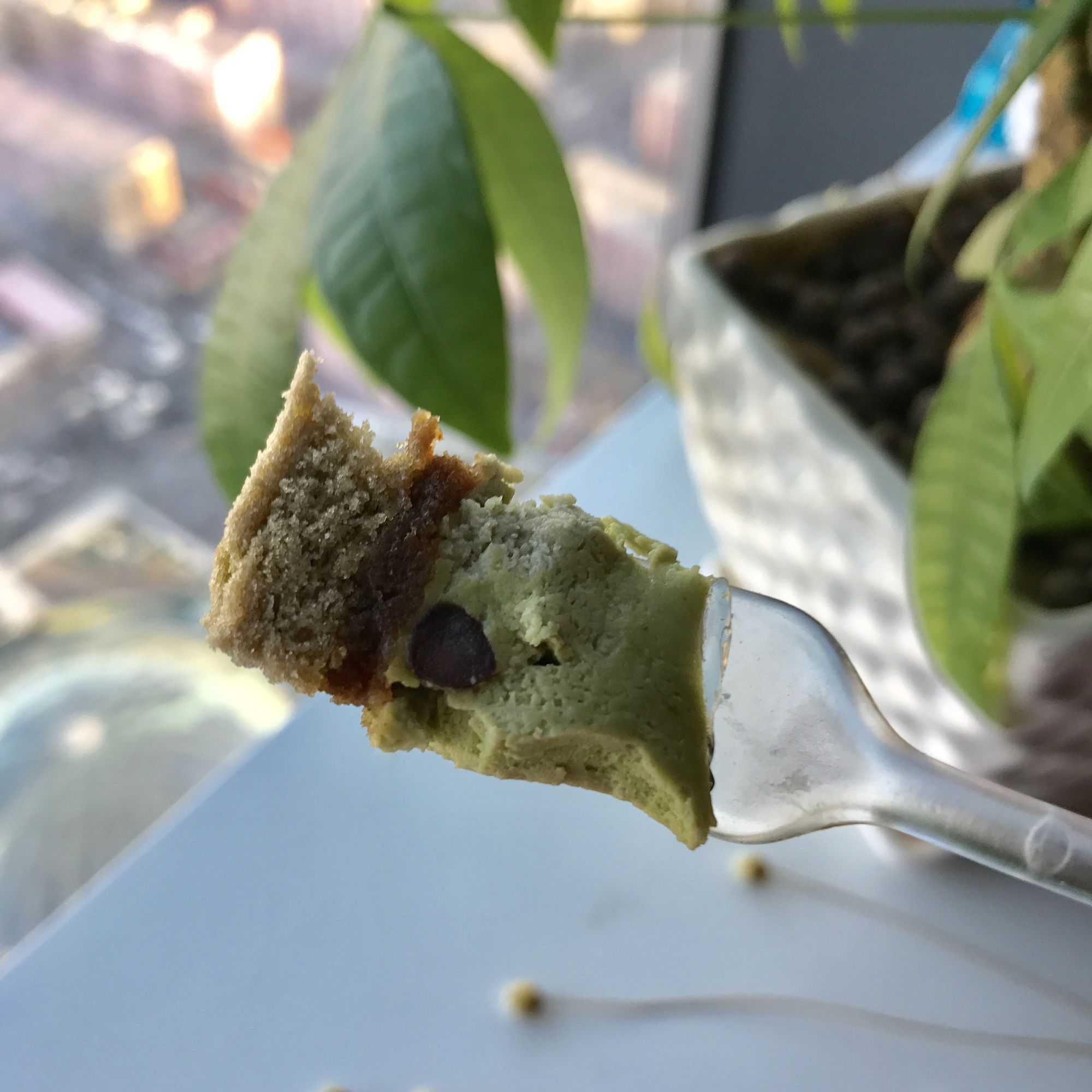 好利来蛋糕测评奥利奥,好利来蛋糕测评甜品