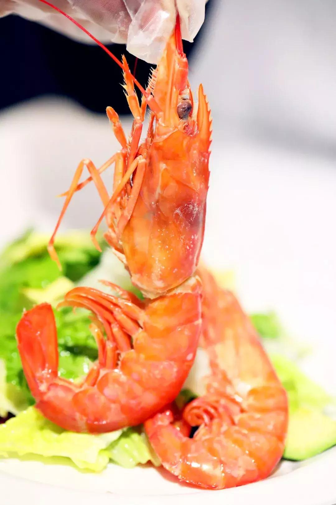 宇宙最红“地球港”空降北京！8国牛肉，逛吃7天不重样！