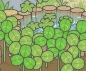 你日夜挂念的“蛙儿”玩的到底是什么