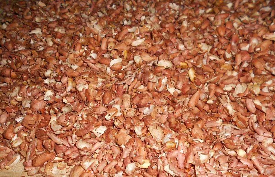 要长寿别贪这三样东西,想要长寿一定关注这10条