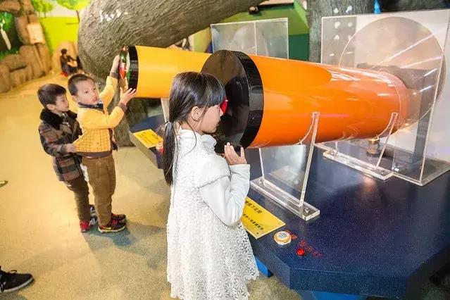 厦门旅行攻略亲子游,厦门自由行亲子游最强攻略