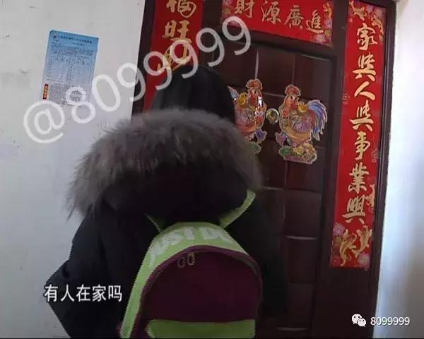 捡到狗不承认不归还犯法吗,捡到名贵犬只抱回家违法吗