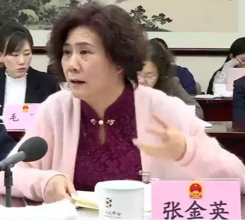 痛快现场版北京,北京两会通州代表团发言