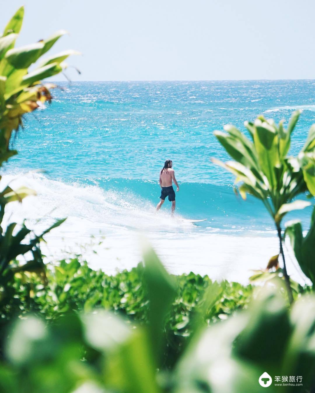 我错过的这座花园岛屿，却是美国人的最爱，连扎克伯格也飞来买地