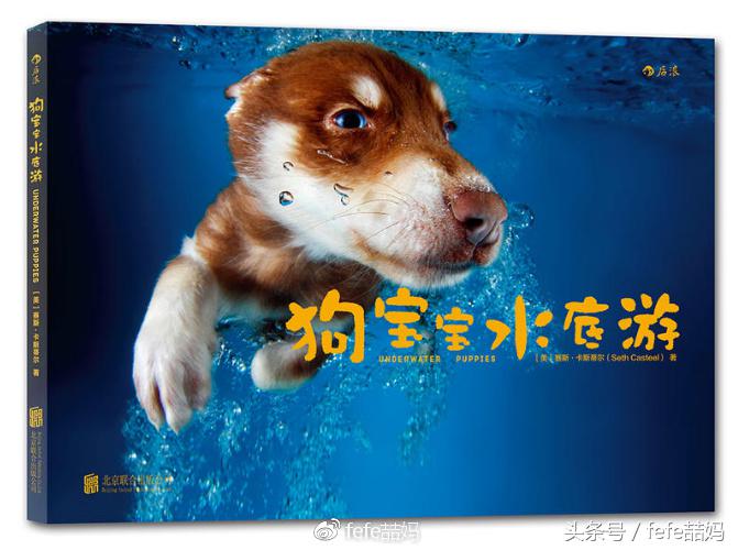 小狗的亲子故事,小狗亲子阅读