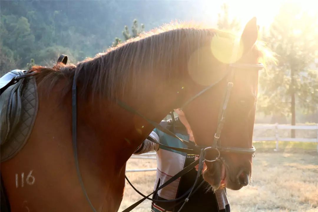 福利丨粤北越北，风景更美，邀你到丹霞灵溪过个红红火火东北年