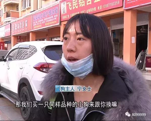 捡到狗不承认不归还犯法吗,捡到名贵犬只抱回家违法吗